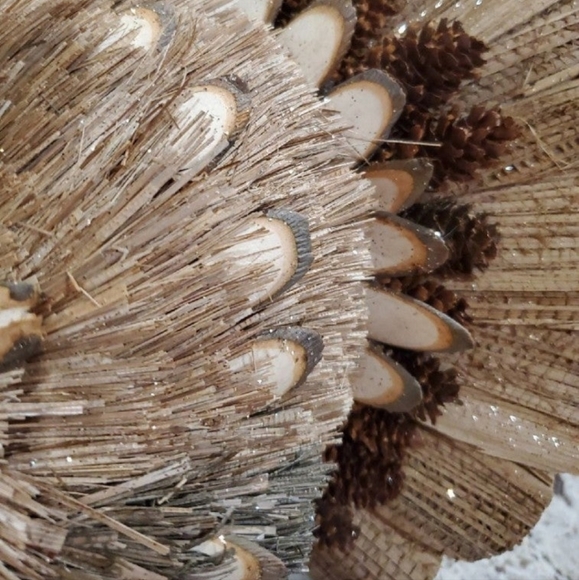 Gorgeous Natural Turkey-NWT - Picture 10 of 10